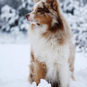 Meet your Posher, Ellen